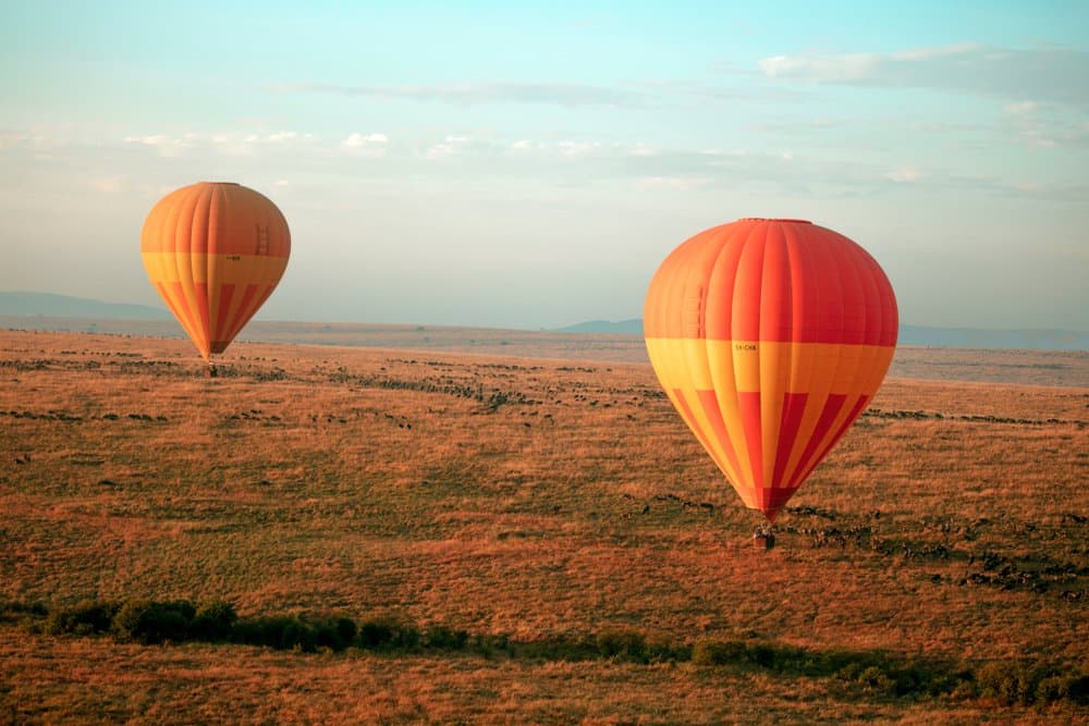 Luftballonger över savannen