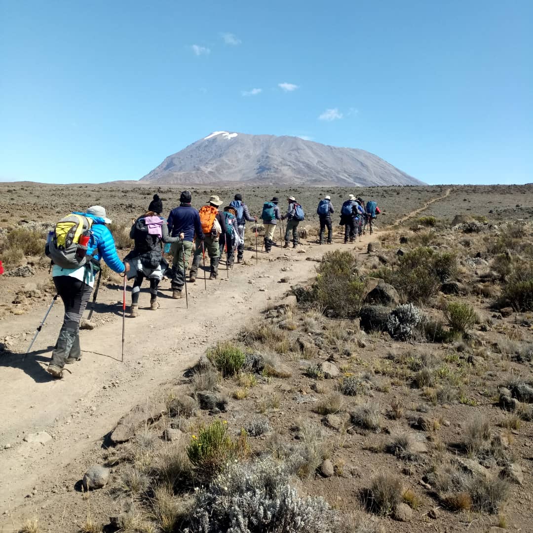 Vandrare på en stig med Kilimanjaro i bakgrunden