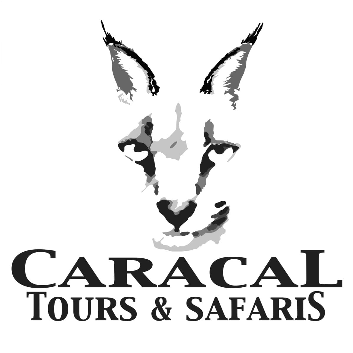 Caracal Tours & Safaris