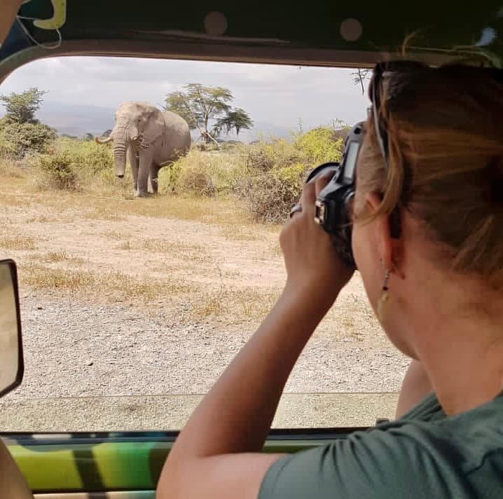 En resenär fotograferar en elefant från safaribilen